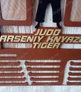 Медальница judo c именем